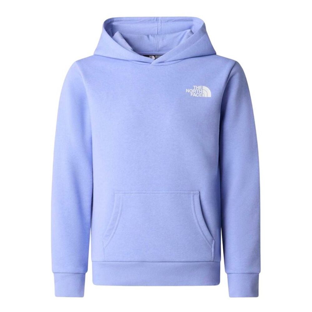 The North Face Childrens/Kids Dome Logo Cotton Blend Hoodie / Periwinkle Blue